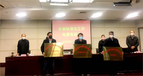 皖南電機獲“安徽省技術(shù)標準創(chuàng  )新基地（高效電機）”標牌