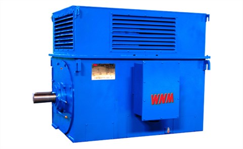 Y系列中型高壓高效電動(dòng)機