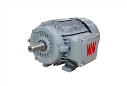 YX3系列高效三相異步電動(dòng)機