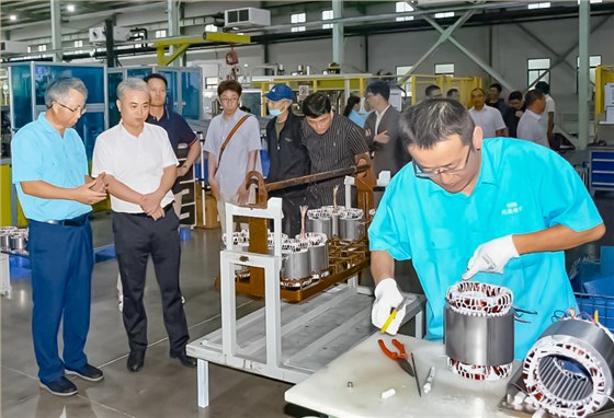 06- 市政府領(lǐng)導來(lái)皖南電機調研