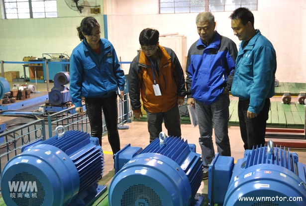 高效電動(dòng)機