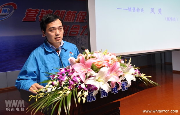 2015年度皖南電機銷(xiāo)售標兵