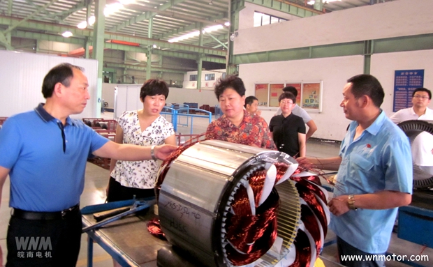 宣城市副市長(cháng)到皖南電機威能公司視察