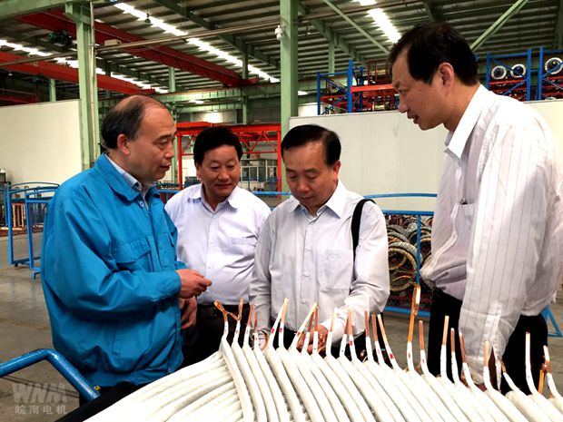 全國總工會(huì )領(lǐng)導來(lái)皖南電機調研