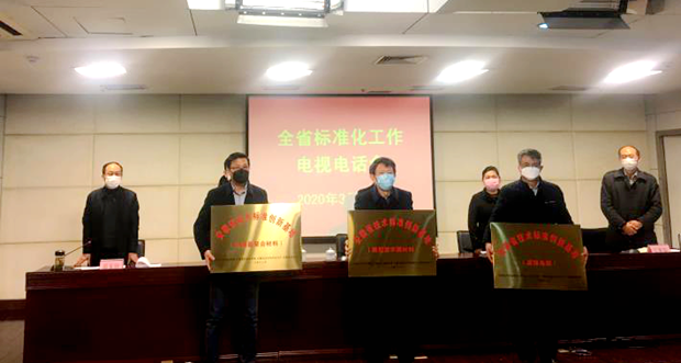 皖南電機獲“安徽省技術(shù)標準創(chuàng  )新基地（高效電機）”標牌
