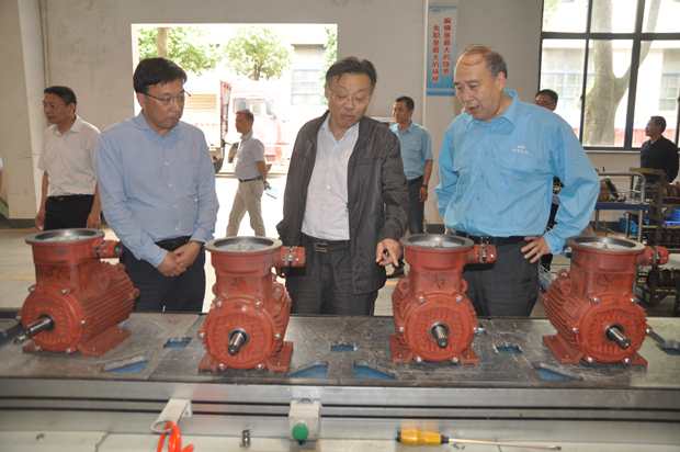 省自然資源廳副廳長(cháng)潘海濱（中）在皖南電機車(chē)間調研