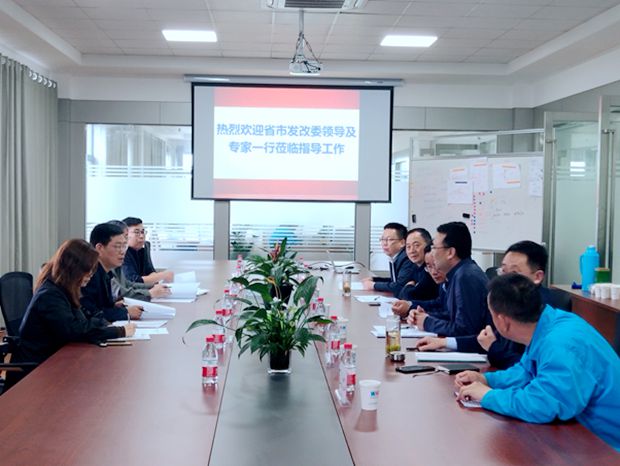 安徽省重大新興產(chǎn)業(yè)工程專(zhuān)項評估組來(lái)皖南電機進(jìn)行中期評估